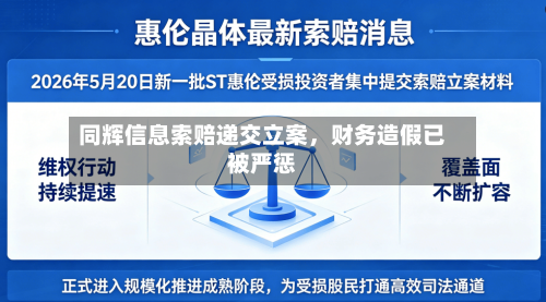 同辉信息索赔递交立案，财务造假已被严惩