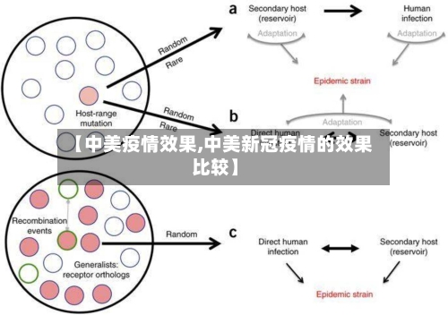 【中美疫情效果,中美新冠疫情的效果比较】