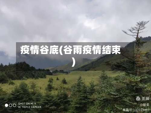 疫情谷底(谷雨疫情结束)-第3张图片