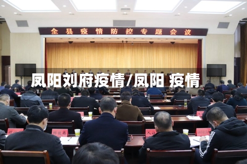凤阳刘府疫情/凤阳 疫情-第2张图片