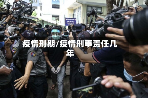 疫情刑期/疫情刑事责任几年