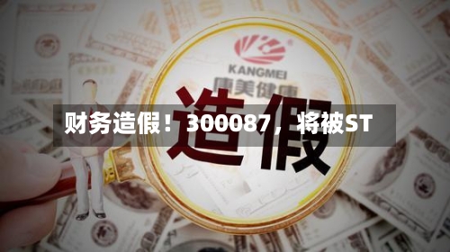 财务造假！300087，将被ST-第3张图片