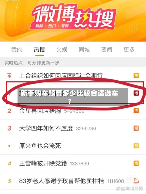新手购车预算多少比较合适选车？