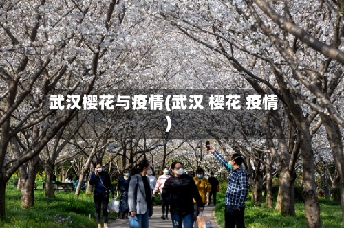 武汉樱花与疫情(武汉 樱花 疫情)