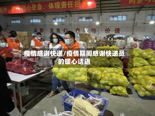 疫情感谢快递/疫情期间感谢快递员的暖心话语