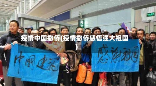疫情中国撤侨(疫情撤侨感悟强大祖国)-第3张图片