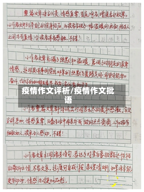 疫情作文评析/疫情作文批语