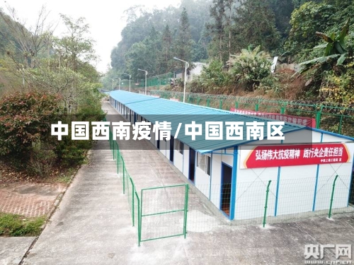 中国西南疫情/中国西南区-第2张图片