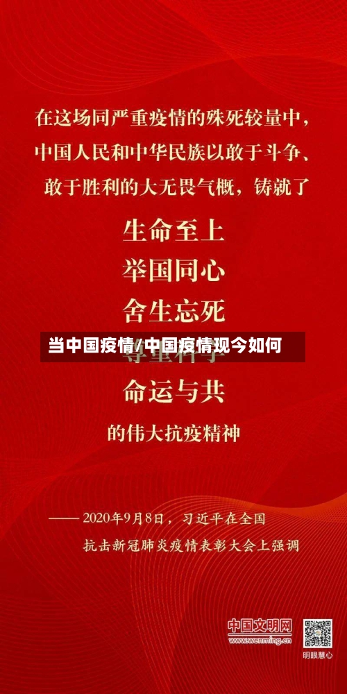 当中国疫情/中国疫情现今如何-第3张图片