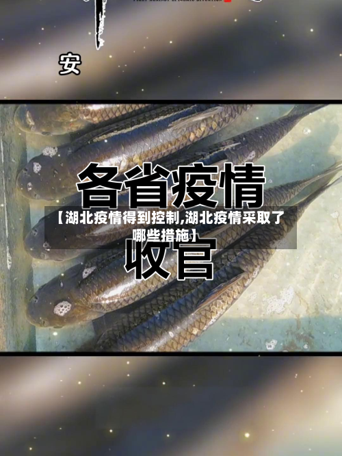【湖北疫情得到控制,湖北疫情采取了哪些措施】-第2张图片