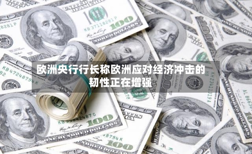 欧洲央行行长称欧洲应对经济冲击的韧性正在增强
