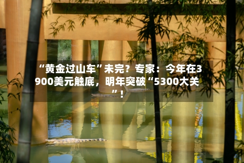 “黄金过山车”未完？专家：今年在3900美元触底，明年突破“5300大关	”！-第2张图片
