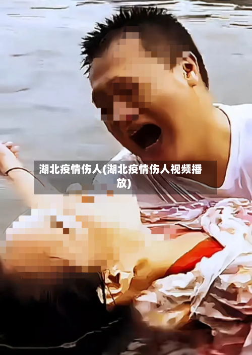 湖北疫情伤人(湖北疫情伤人视频播放)-第3张图片