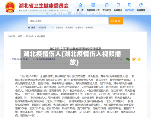 湖北疫情伤人(湖北疫情伤人视频播放)