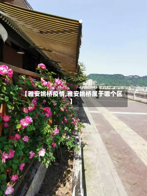 【雅安姚桥疫情,雅安姚桥属于哪个区】-第3张图片