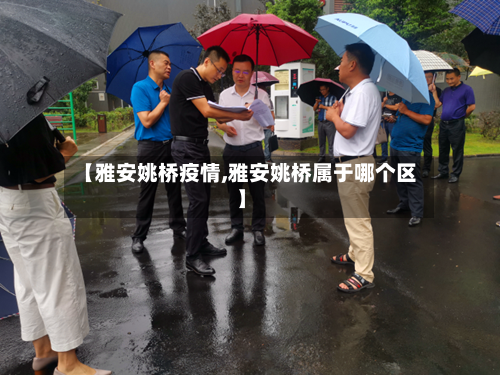 【雅安姚桥疫情,雅安姚桥属于哪个区】-第2张图片