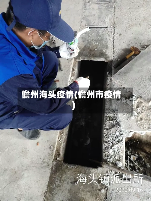 儋州海头疫情(儋州市疫情)-第3张图片