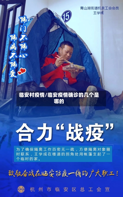 临安村疫情/临安疫情确诊的几个是哪的