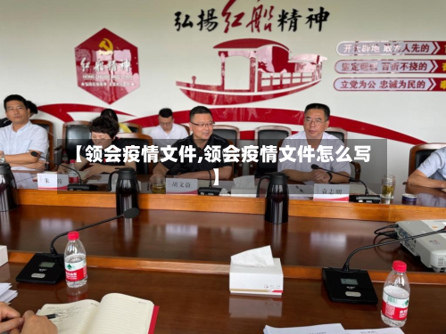 【领会疫情文件,领会疫情文件怎么写】