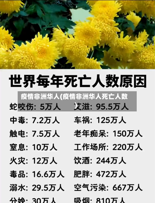 疫情非洲华人(疫情非洲华人死亡人数)-第2张图片