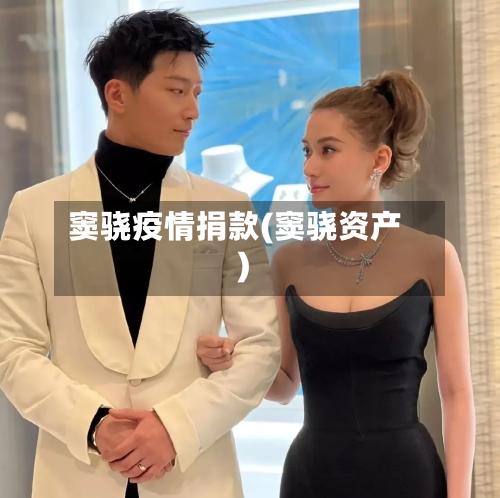 窦骁疫情捐款(窦骁资产)-第3张图片