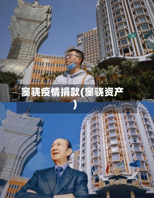 窦骁疫情捐款(窦骁资产)