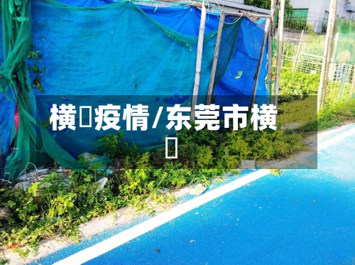 横滘疫情/东莞市横滘