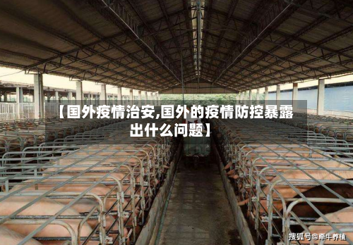 【国外疫情治安,国外的疫情防控暴露出什么问题】