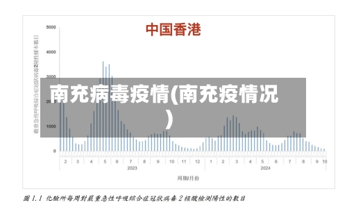 南充病毒疫情(南充疫情况)-第2张图片