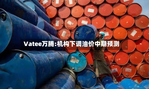 Vatee万腾:机构下调油价中期预测-第3张图片