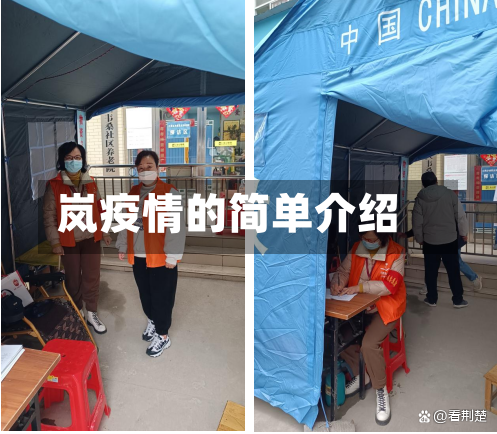 岚疫情的简单介绍-第2张图片