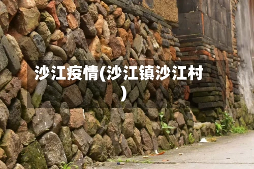 沙江疫情(沙江镇沙江村)-第2张图片
