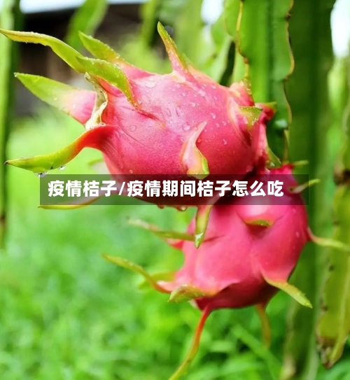 疫情桔子/疫情期间桔子怎么吃-第2张图片