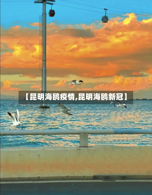 【昆明海鸥疫情,昆明海鸥新冠】