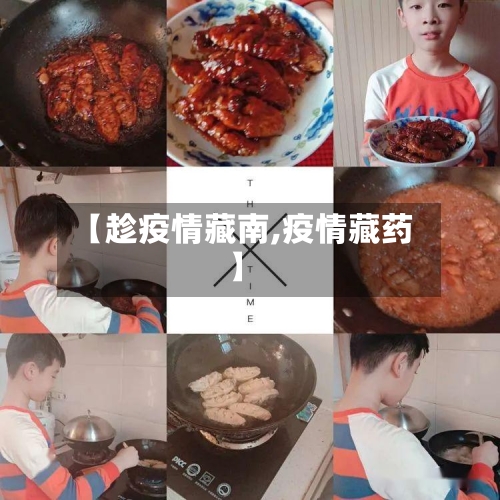 【趁疫情藏南,疫情藏药】-第1张图片