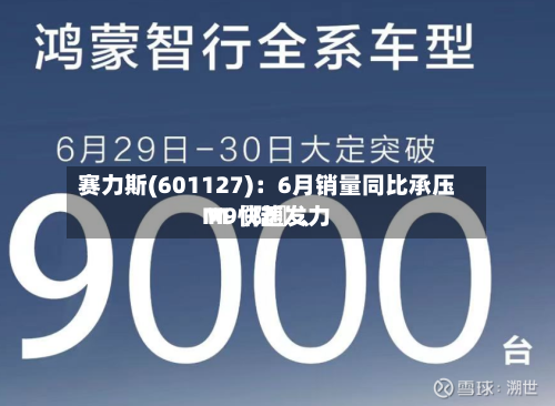 赛力斯(601127)：6月销量同比承压 M〖陆〗、M9快速发力