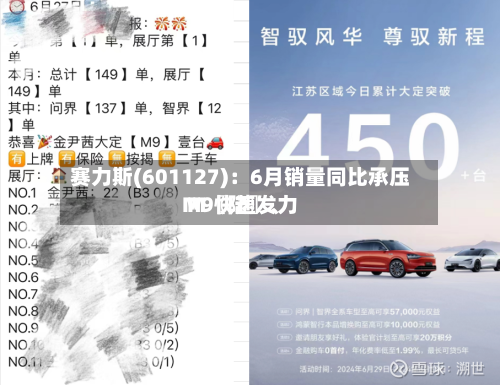 赛力斯(601127)：6月销量同比承压 M〖陆〗、M9快速发力