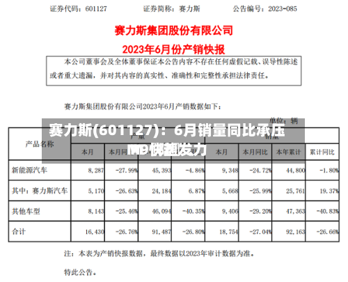赛力斯(601127)：6月销量同比承压 M〖陆〗	、M9快速发力-第2张图片