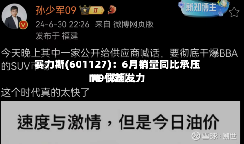 赛力斯(601127)：6月销量同比承压 M〖陆〗	、M9快速发力-第2张图片