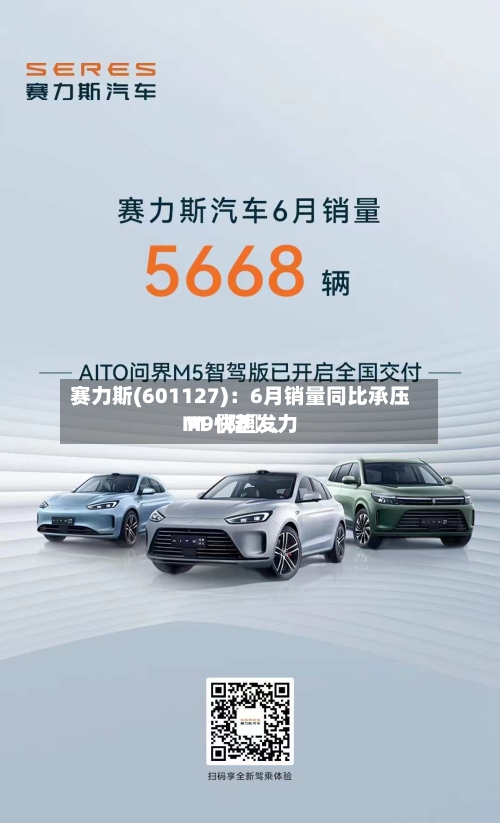 赛力斯(601127)：6月销量同比承压 M〖陆〗、M9快速发力