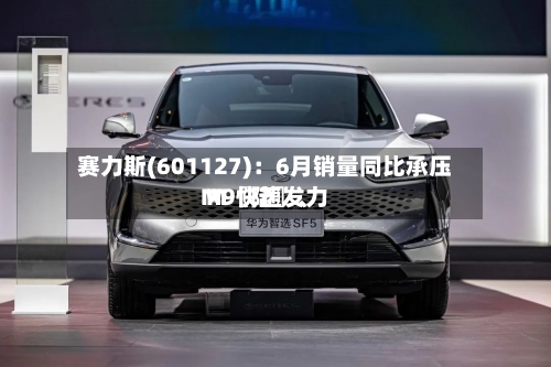 赛力斯(601127)：6月销量同比承压 M〖陆〗、M9快速发力-第2张图片