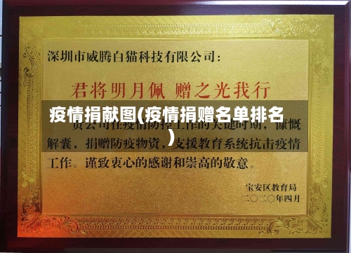 疫情捐献图(疫情捐赠名单排名)