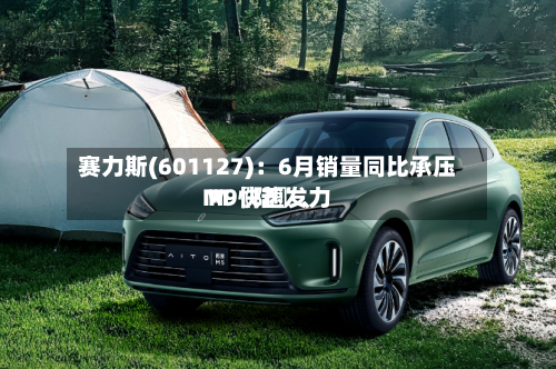 赛力斯(601127)：6月销量同比承压 M〖陆〗、M9快速发力-第2张图片