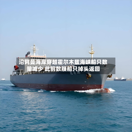 沿阿曼海岸穿越霍尔木兹海峡船只数量减少 此前数艘船只掉头返回