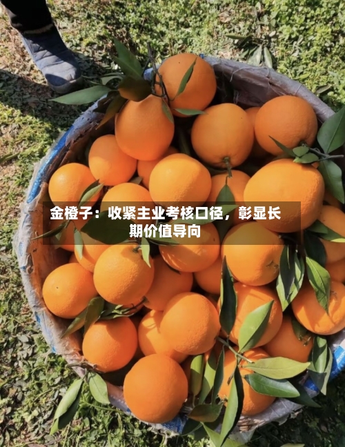 金橙子：收紧主业考核口径，彰显长期价值导向