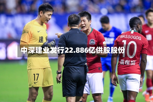 中深建业发行22.886亿供股股份-第2张图片
