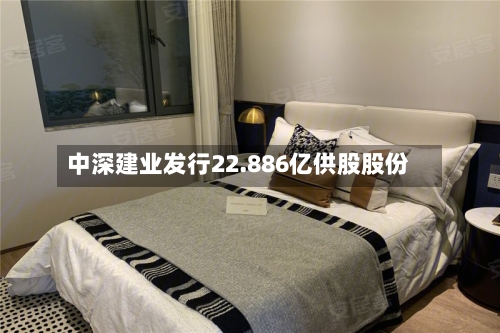 中深建业发行22.886亿供股股份