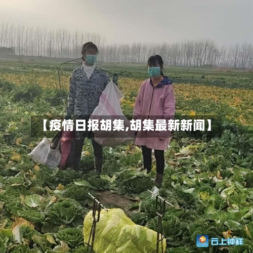 【疫情日报胡集,胡集最新新闻】-第2张图片