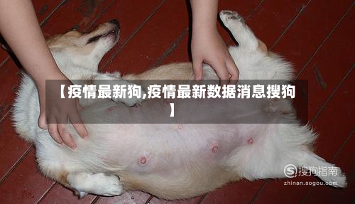 【疫情最新狗,疫情最新数据消息搜狗】-第2张图片