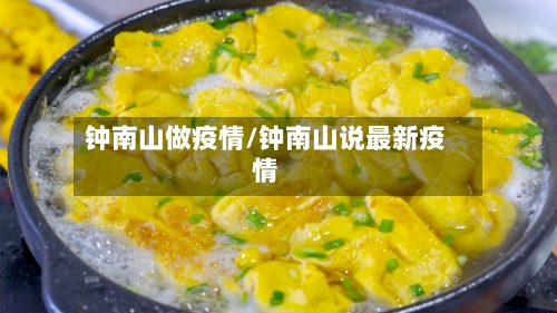 钟南山做疫情/钟南山说最新疫情